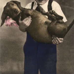 Studio portrait, little boy with dachshund