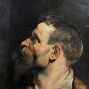 Study of a Man in Profile, 1611-1612, by Peter Paul Rubens (