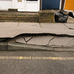 Subsidence damage, 122 Ridley Road, Bromley