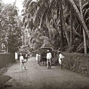 Suburban street scene, Bombay, India, circa 1880s