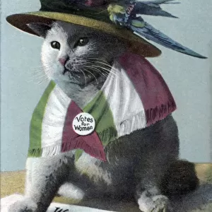 Suffragette Cat In Hat and Flag