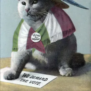 Suffragette Cat In Hat and Flag