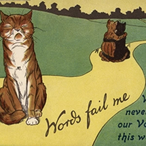 Suffragette Cats Embracing Words Fail Me
