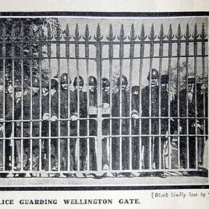 Suffragette Demonstration Buckingham Palace