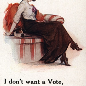 Suffragette I ve got a Voter