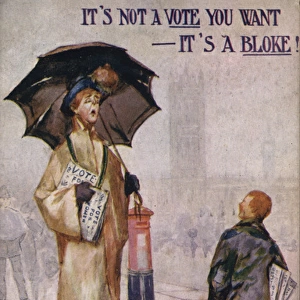 Suffragette, Not a Vote - a Bloke