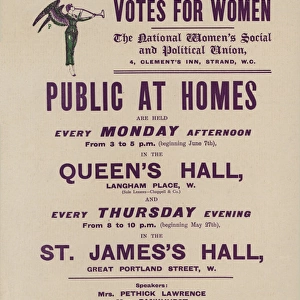 Suffragette Votes for Women W. S. P. U