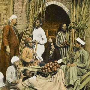 Sugar Cane Sellers / Market, Cairo, Egypt