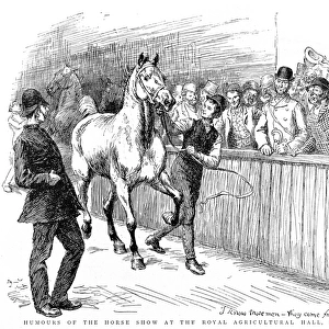 The Summer Horse Show, Islington, 1892