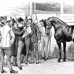 The Summer Horse Show, Islington, 1892
