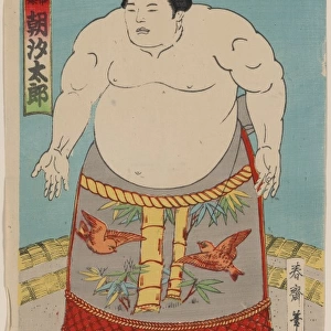 The sumo wrestler Asashio Taro