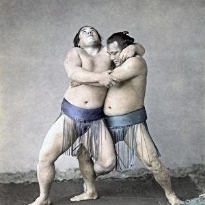 Sumo Wrestlers, Japan, circa 1880s