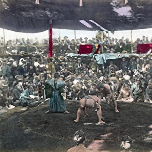 Sumo wrestling match, Japan, circa 1880s