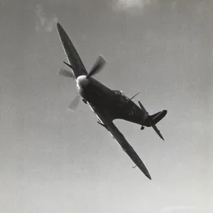 Supermarine Spitfire 5B / VB