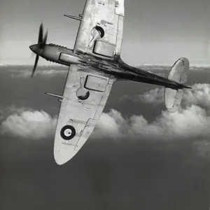 Supermarine Spitfire 8 / VIII