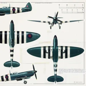 Supermarine Type 365 Spitfire aeroplane