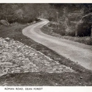 A surviving section of Roman Road in the Forest of Dean