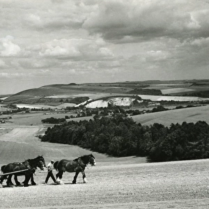 The Sussex Downs
