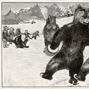 The Swiss Bears of Bern skating on the ice