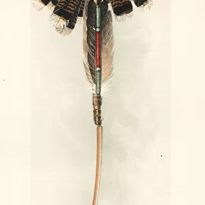 Sword of the Thle wekwe, Sword Swallower Fraternity
