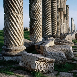 Syria. Apamea or Apameia (Afamia). Colonnade in the Cardo Ma