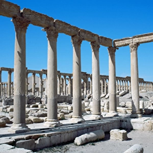 Syria. Palmyra. Baths of Diocletian. 4th century AD. Ruins