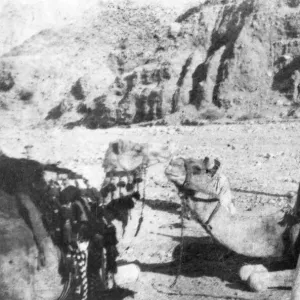 T E Lawrence (Lawrence of Arabia) with camels