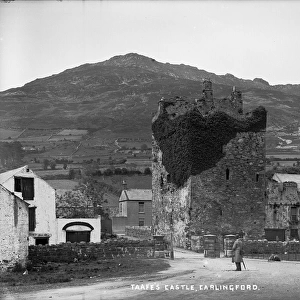 Taafes Castle, Carlingford