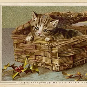 Tabby Kitten in Basket