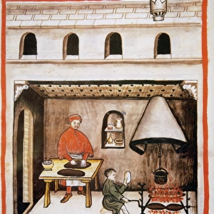 Tacuinum Sanitatis. 14th century. Medieval handbook of health