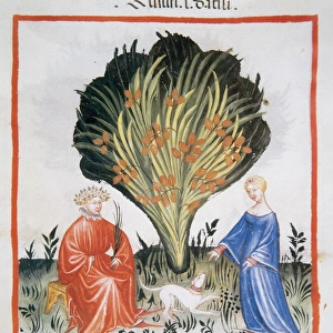 Tacuinum Sanitatis. Late XIV century. Couple next to date pa