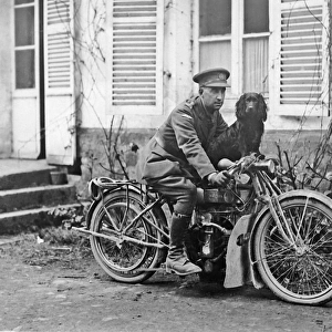 Tank Corps mascot on motorcycle, Western Front, WW1