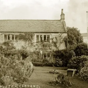 Tea Gardens Tea Gardens