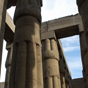 Temple of Luxor. Columns