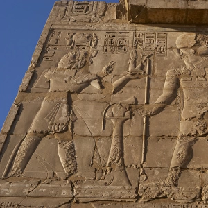 Temple of Ramses III. Relief depicting Ramses III making off