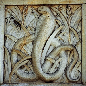Detail of terracotta moulding of a snake in the Waterhouse B