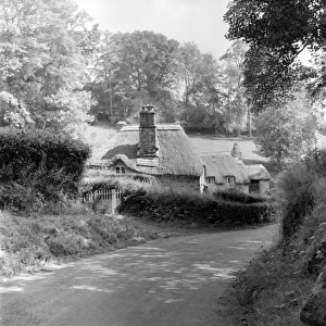 Thatched cottage, Devon