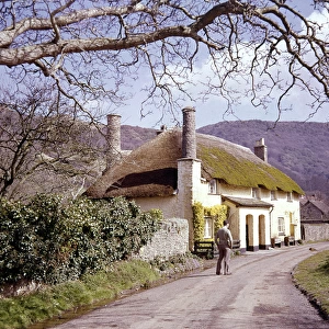 Thatched cottages at Bossington, Somerset