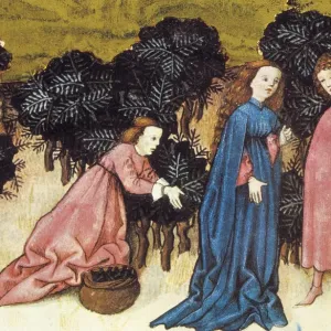 THOMAS of Cantimpr頨1201-1276). Codex Granatensis