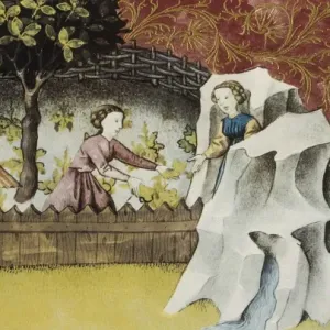 THOMAS of Cantimpr頨1201-1276). Codex Granatensis