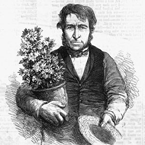 Thomas Kent, gardener