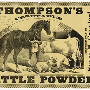 Thompsons vegetable cattle powder For diseases of horses, c