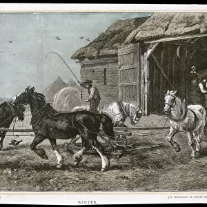 THRESHING WITH HORSES