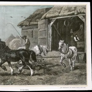 THRESHING WITH HORSES