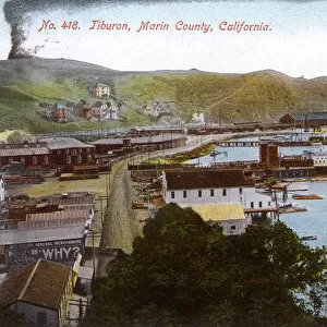 Tiburon, Marin County, California, USA