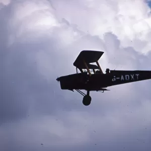 Tiger Moth - G-ADXT