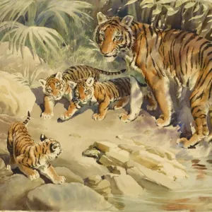 Tigress and cubs