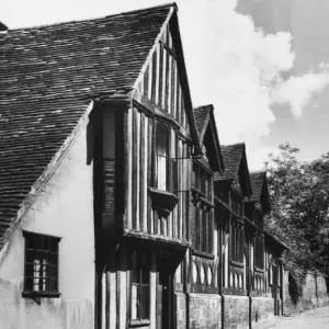 Timbered Houses