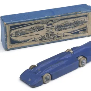 Tin Model of a Bluebird