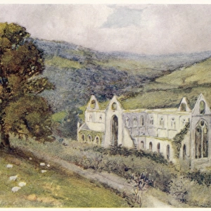 Tintern Abbey / 1908